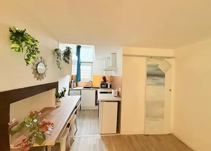 Lejlighed Cosy Azur - 4pers Place Verdun Pau